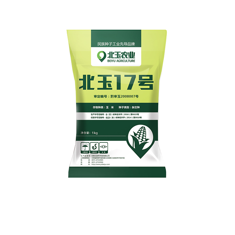 青贮玉米种子产量评估