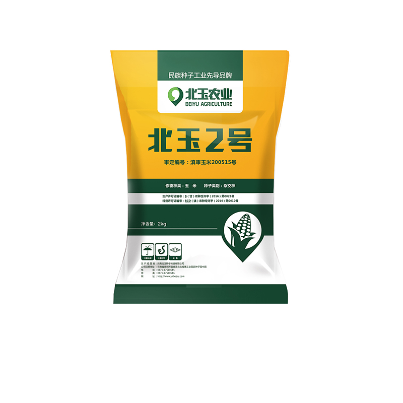优良玉米种子的挑选技巧