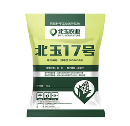 玉米种子的特点及其重要性