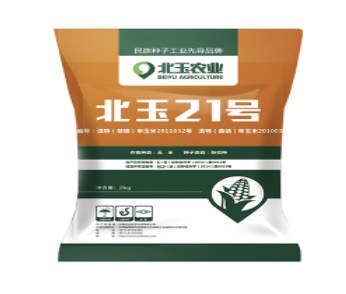 玉米杂交种子的优势竟然这么多！