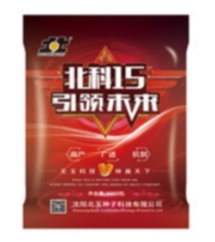 优良玉米种：提升粮食安全的关键