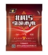 本文带您了解玉米品种的适应性