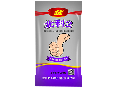 沈阳优良玉米种子：丰收的希望