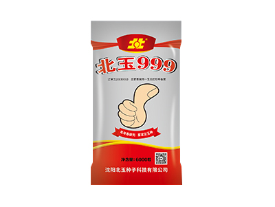 玉米杂交种子：丰收的密码